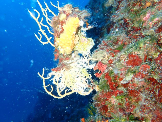 foto 30.05.19 21 41 35